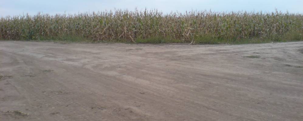 
            Фотография Шершеневки