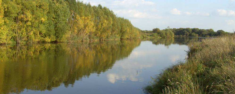 
            Фотография Аносово