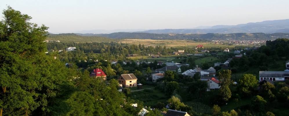 
            Фотография Подишора