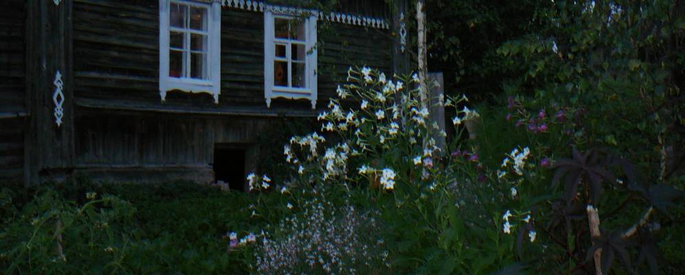 
            Фотография Подсадницы