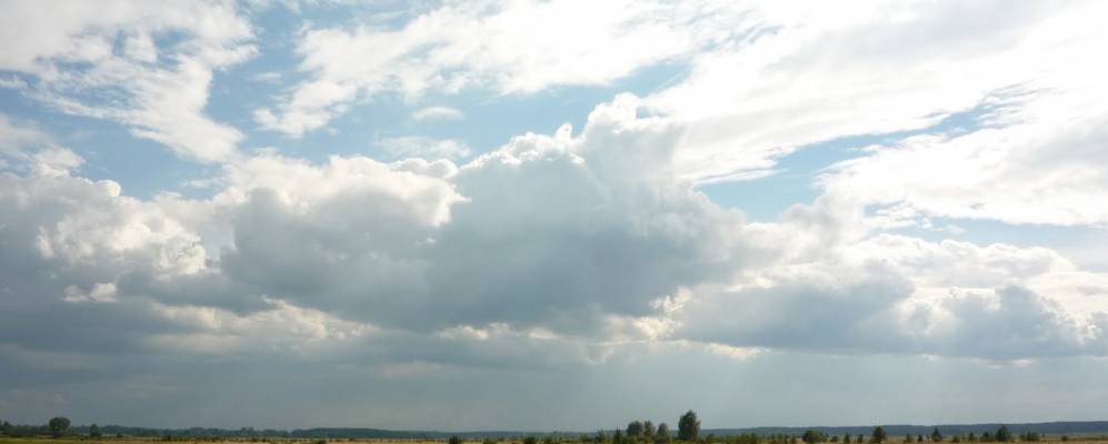 
            Фотография Тернов