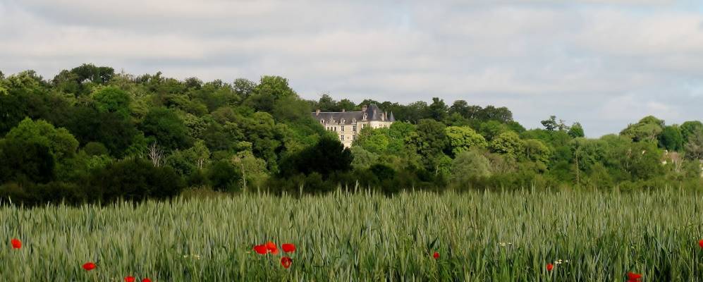 Фотография Конде