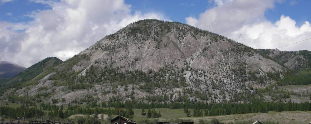 
            Фотография Шарзы