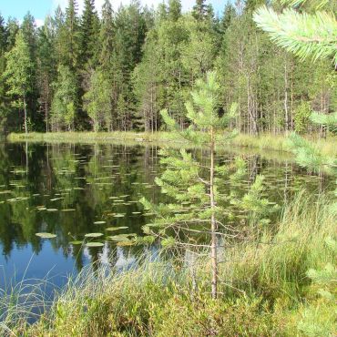 Верхние Важины