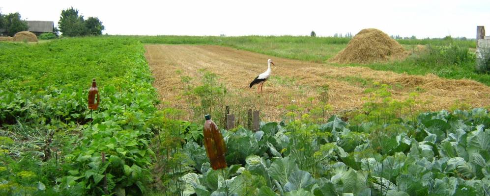 
            Фотография Савченки