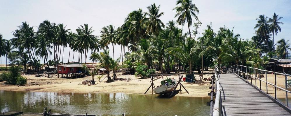 
            Фотография Маранга