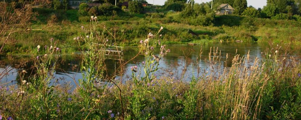 Фотография Старого Глазово