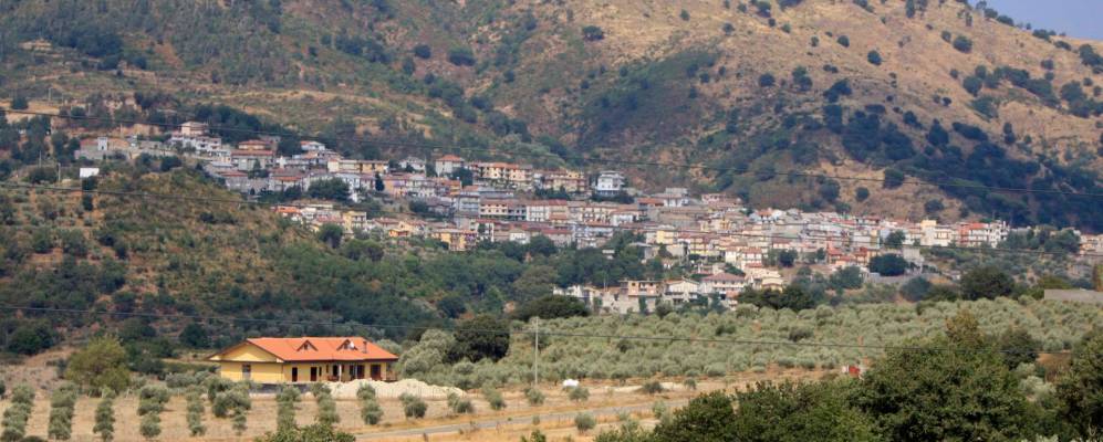 Фотография Петрицци