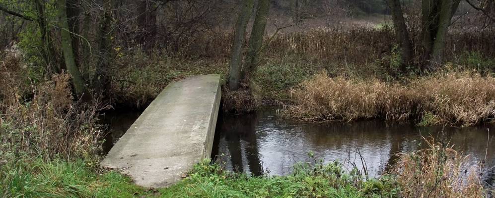 
            Фотография деревни Бакуны