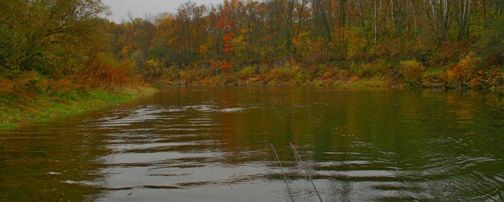 
            Фотография Ветки