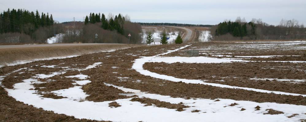 
            Фотография Скорынино