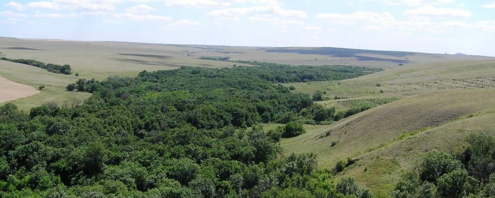 
            Фотография Плешакова