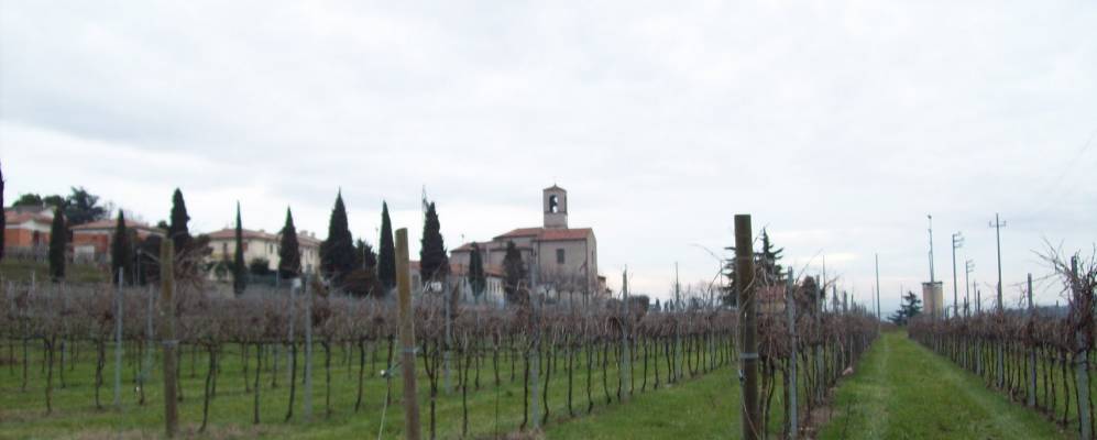 
            Фотография Кустоци