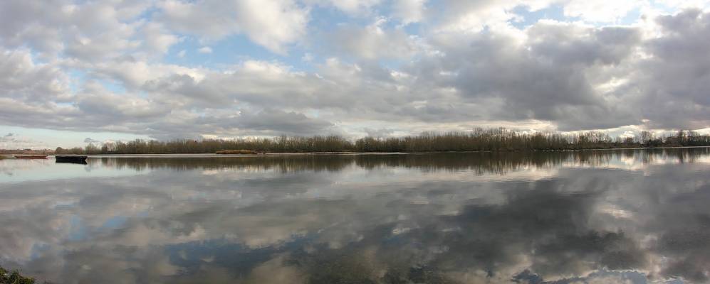 
            Фотография Сандильона