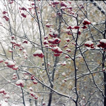 Филимонцево