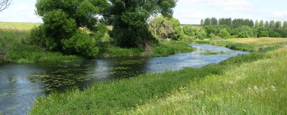 
            Фотография Грабоново