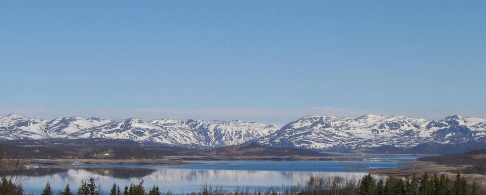 
            Фотография Холвика