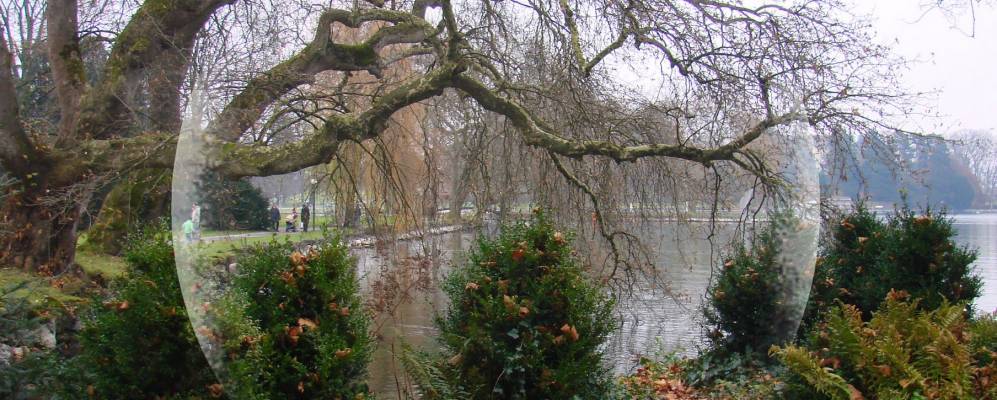 
            Фотография Шама