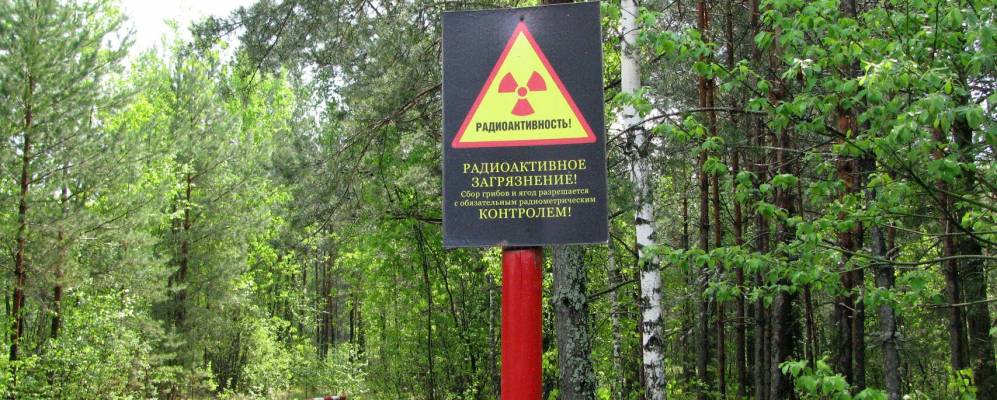 
            Фотография Копища