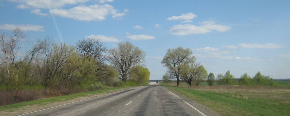 
            Фотография Переможного