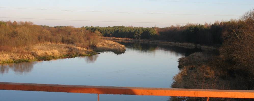 Фотография Ручевых