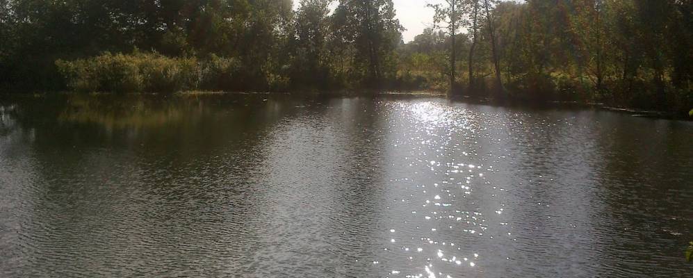 
            Фотография Вязенки