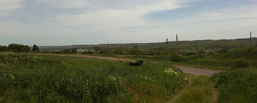 Фотография Новогригоровки