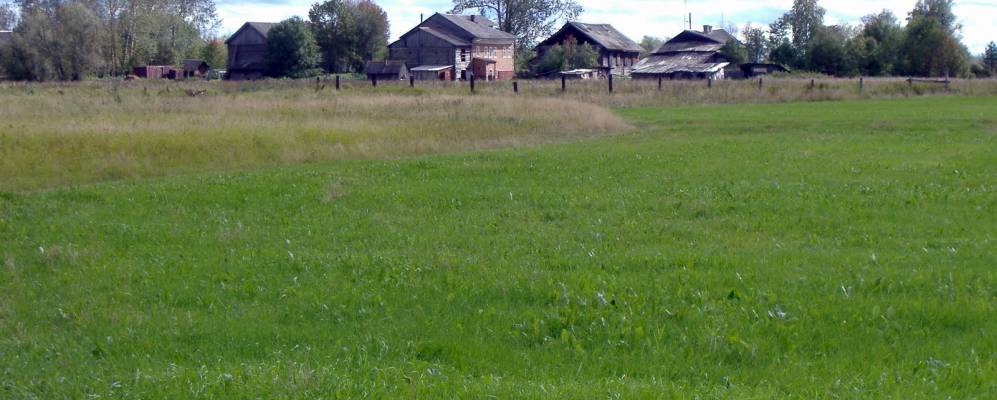 
            Фотография Мордарово