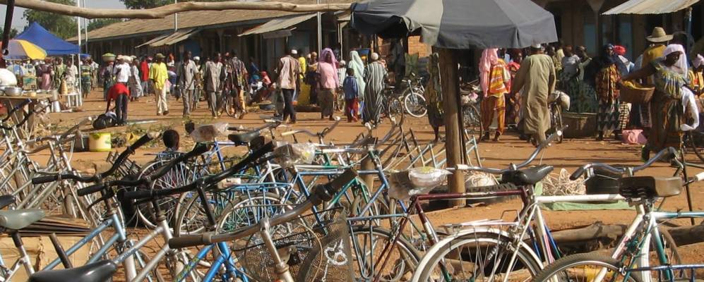 
            Фотография Комбиссири