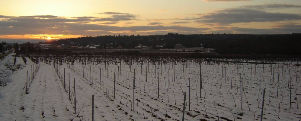 
            Фотография Ориолья