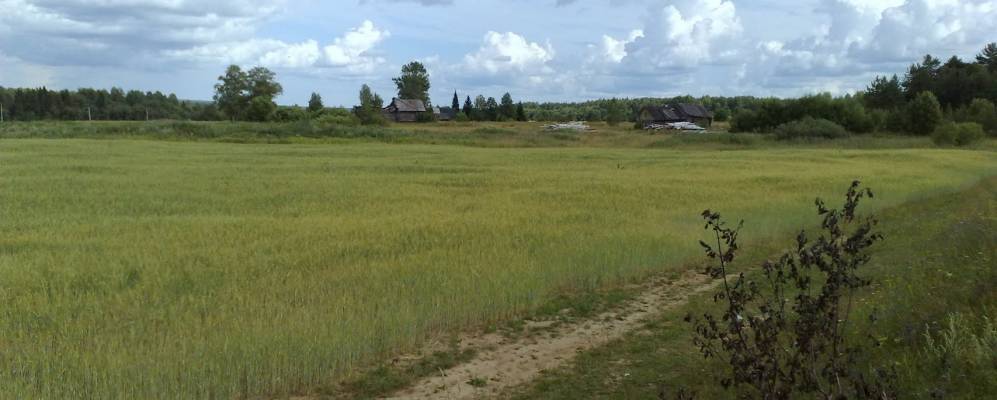 
            Фотография Селиваново