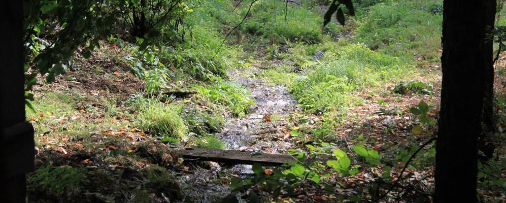 
            Фотография Вятчино