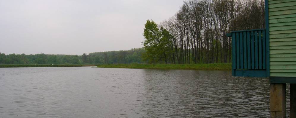 
            Фотография Кинлоди