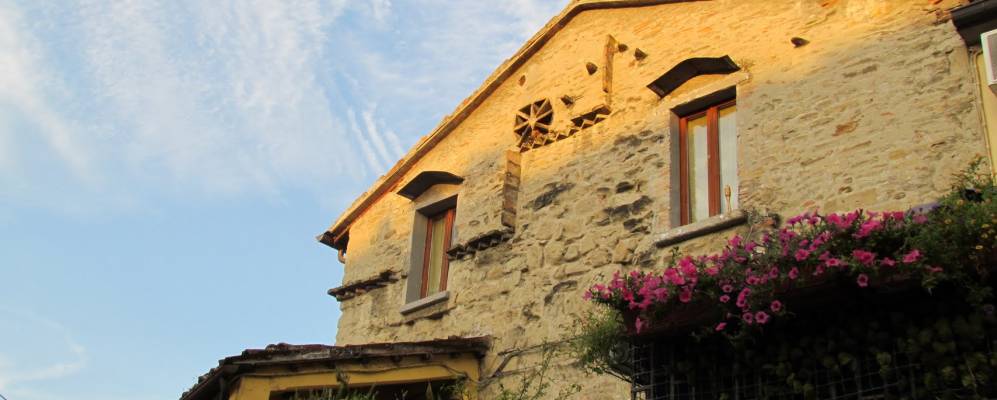 
            Фотография Сарсины