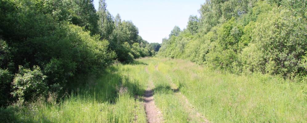 Фотография Листвягов