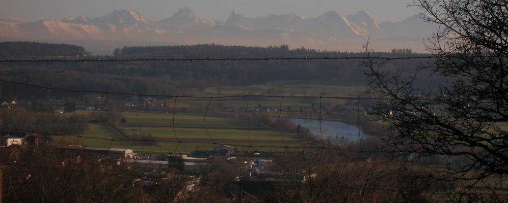 
            Фотография Лангендорфа