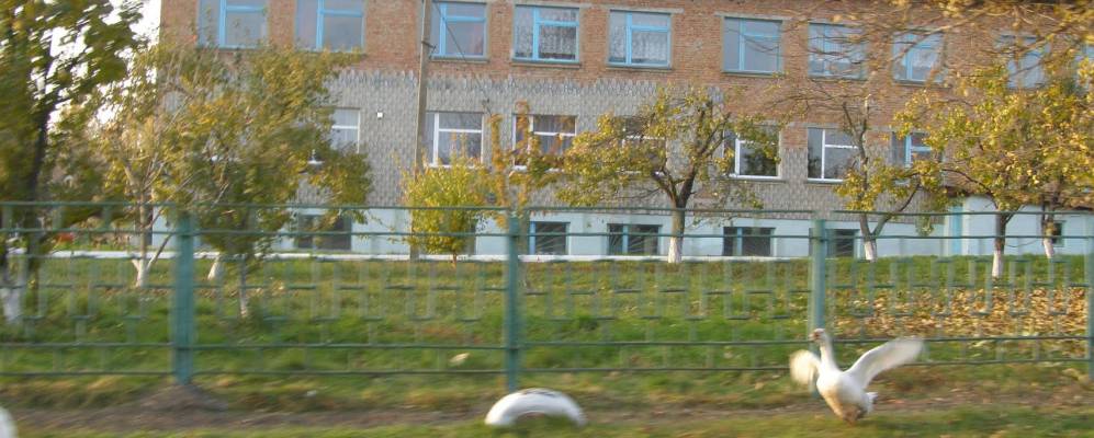 Фотография Иванова