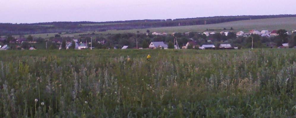 
            Фотография Гильдеево