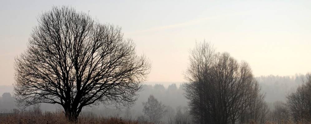 
            Фотография Съяново-2