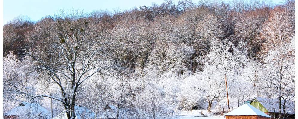 
            Фотография Новой Гребли