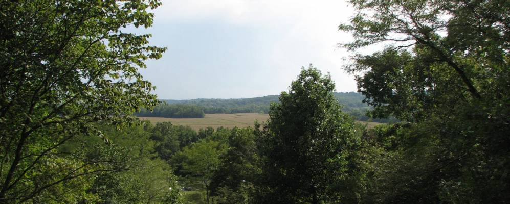 
            Фотография Грейн Валли