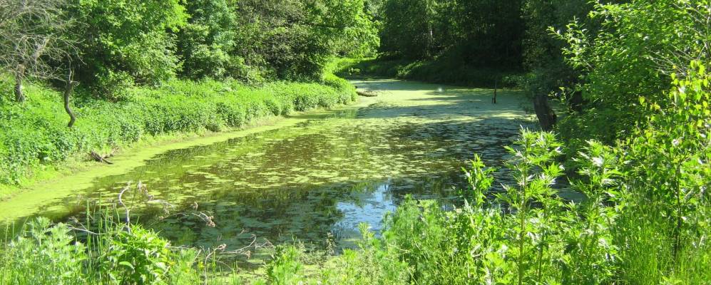 
            Фотография Покровского