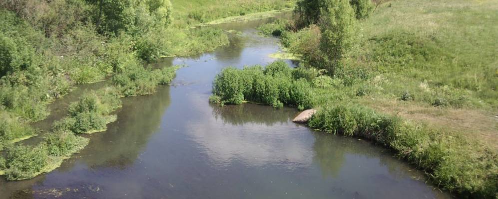 Фотография Щетинино Первого