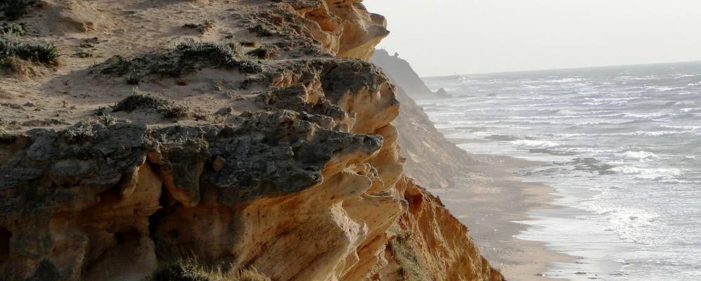 
            Фотография Шфаима