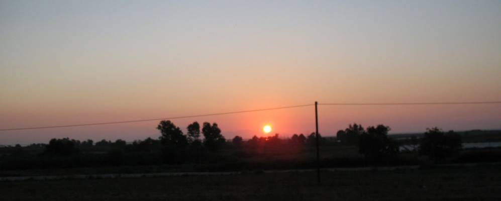 
            Фотография Варды