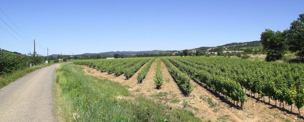 Фотография Пьёс