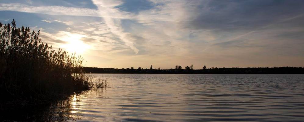 Фотография Прокопово