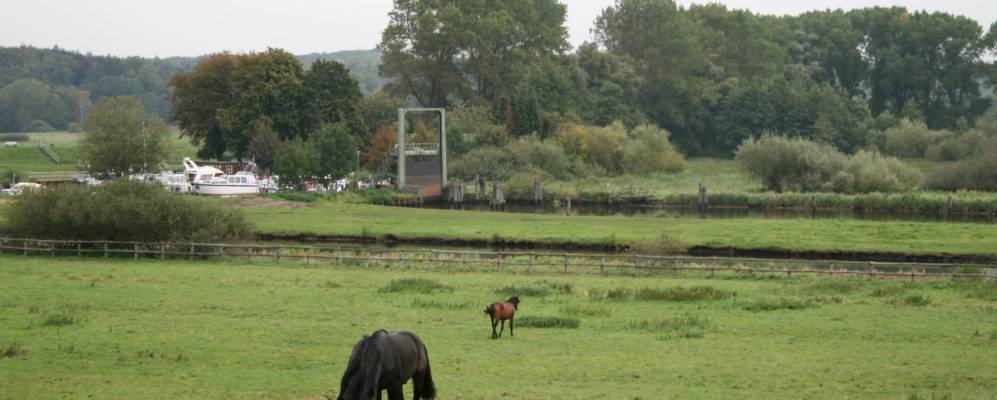 
            Фотография Мюнстердорфа