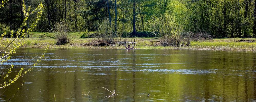 
            Фотография Слободки