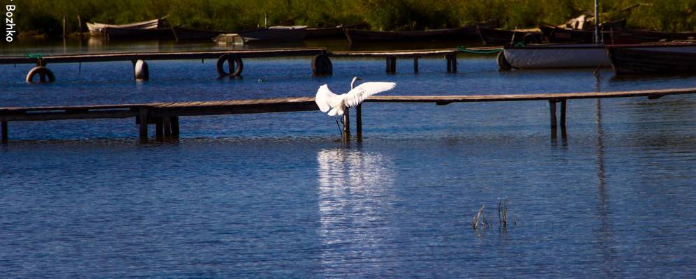 Фотография Грамоща